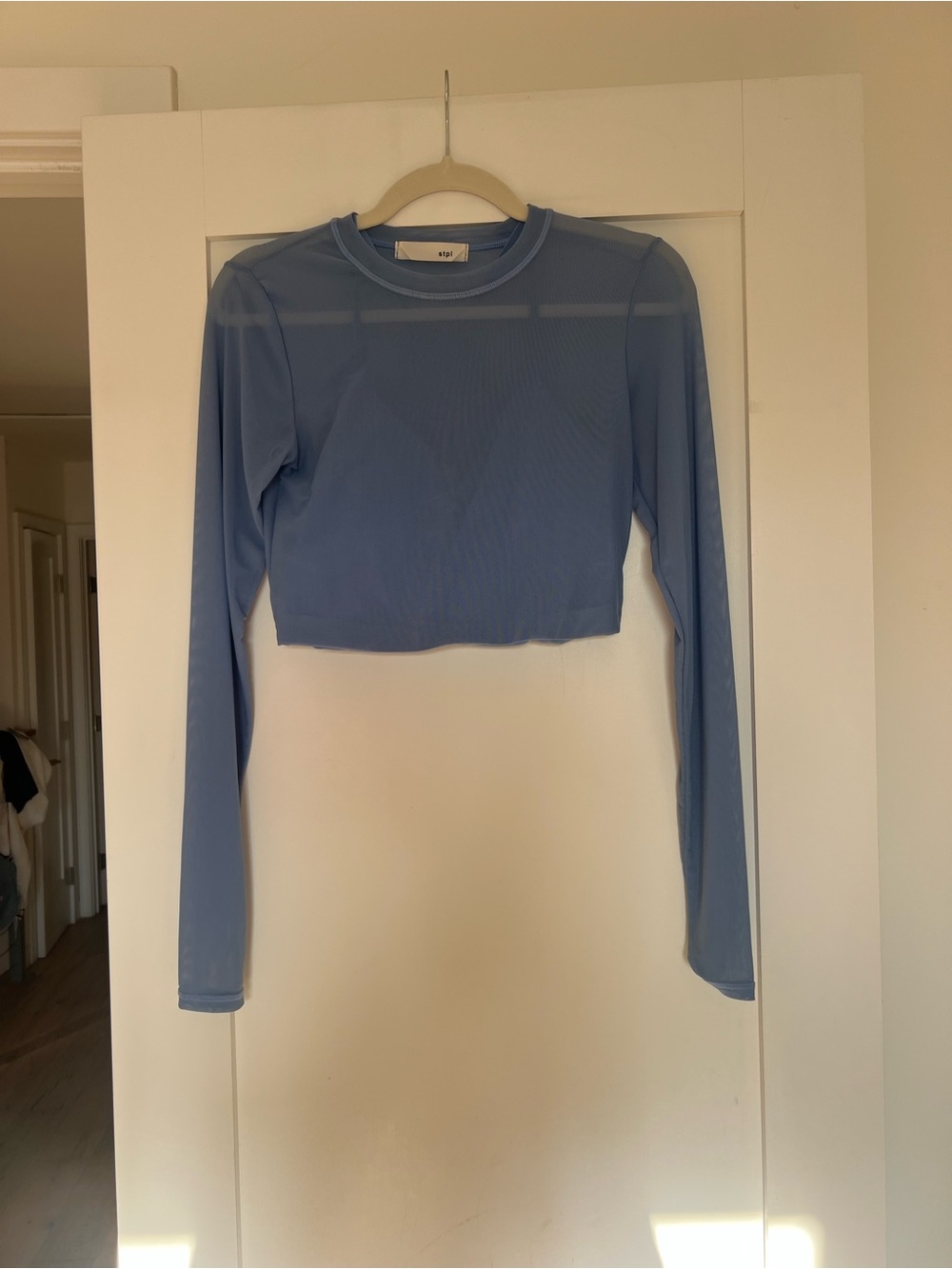 Sheer Light Blue Long-Sleeve Crop Top by Aritzia